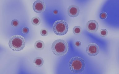 你知道第一次去日本体检费用吗?怎样做最划算?