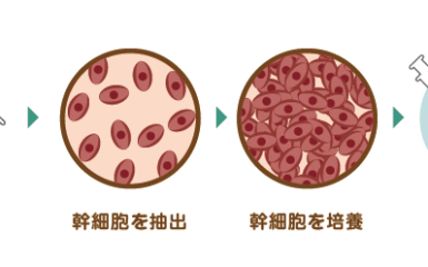 简述高端体检检查的三个原则